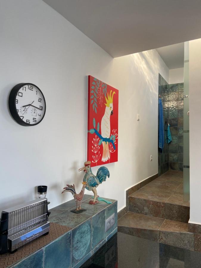Villa Oasis La Paz - Acaymo Loft - Adults Only - Puerto de la Cruz  Eksteriør bilde