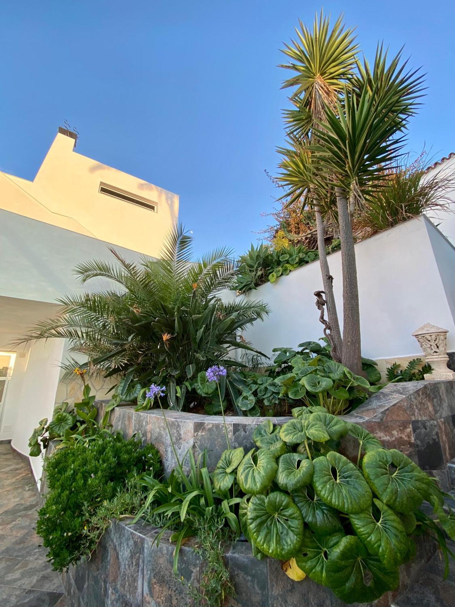 Villa Oasis La Paz - Acaymo Loft - Adults Only - Puerto de la Cruz  Eksteriør bilde