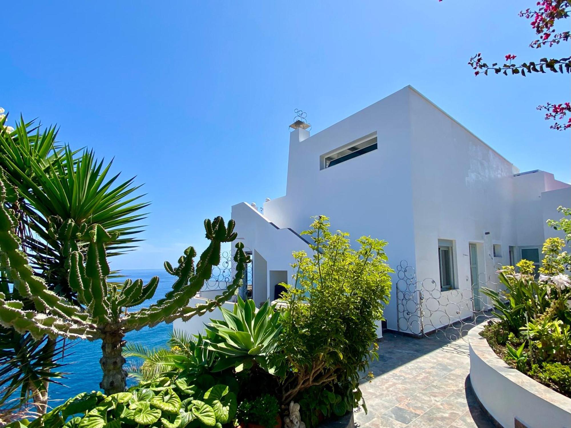 Villa Oasis La Paz - Acaymo Loft - Adults Only - Puerto de la Cruz  Eksteriør bilde